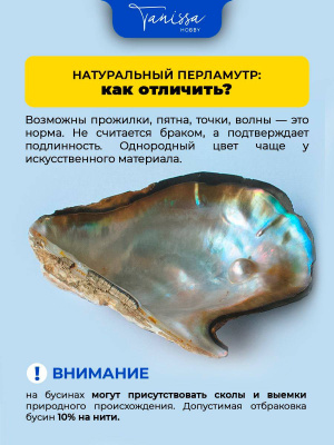 sHOnXQvJS6.jpg