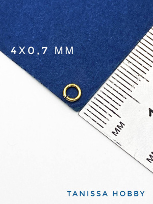 Rm46gJTo2C.jpg