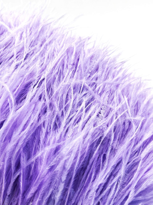 MQYCmo8oEc.JPG