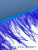 HqPxhH686l.JPG