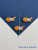 ExRX0x1hiL.jpg ExRX0x1hiL.jpg