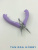 2EP8ybad10.jpg 2EP8ybad10.jpg
