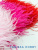 dbz3213Plt.jpg dbz3213Plt.jpg