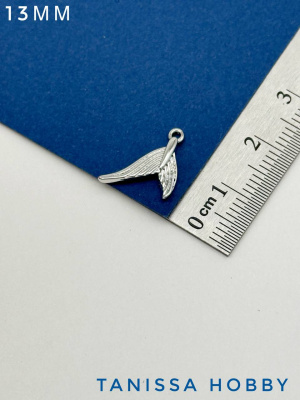 8DWK3PMWlQ.jpg
