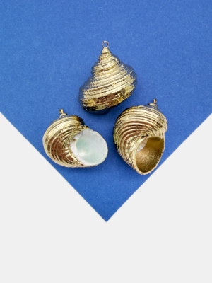 9xzGWdzX8m.jpg