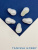 sQ42iKb376.jpg