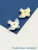 HQ0hHdJmGN.jpg HQ0hHdJmGN.jpg